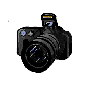 Photo Gallery