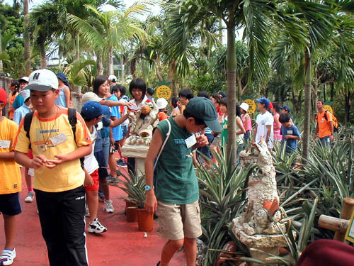 PICT0268