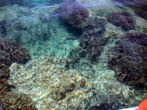 PICT0116