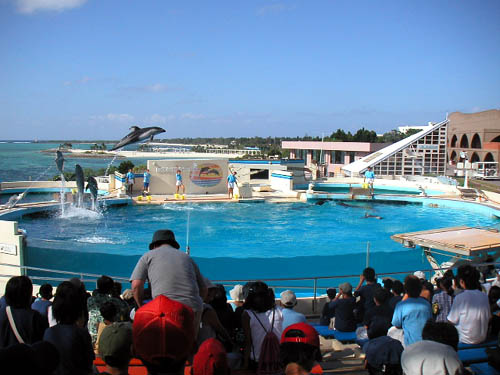 PICT0139