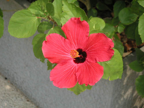 PICT0149