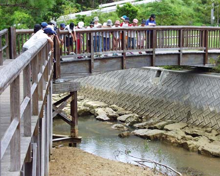 c0105