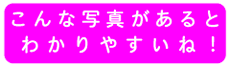 Ȏʐ^Ƃ킩₷!NbNĂˁB