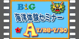 B G財団 B G財団とは 04年 活動記録 セミナーa行程