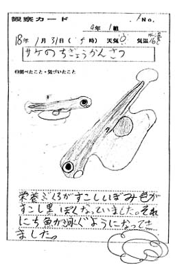 ώ@J[h131B`ςAj悤ɂȂĂ