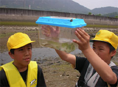 発見した魚を観察
