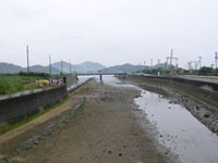 川幅の広い吉海港干潟の様子