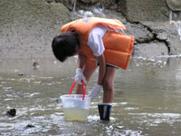 バケツで水を汲む子ども