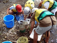 採取した生物を調べる