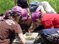 捕まえた生物の説明を受ける