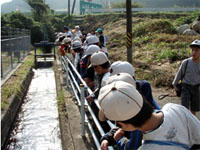 ポンプで浄水場まで送水
