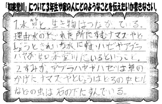 記録用紙