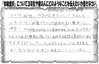 記録用紙