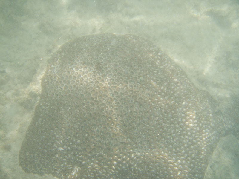 a169