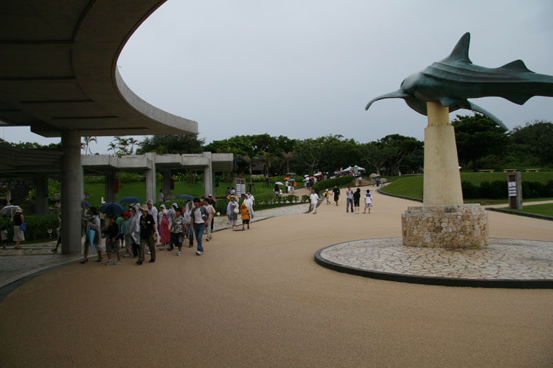 oyako005