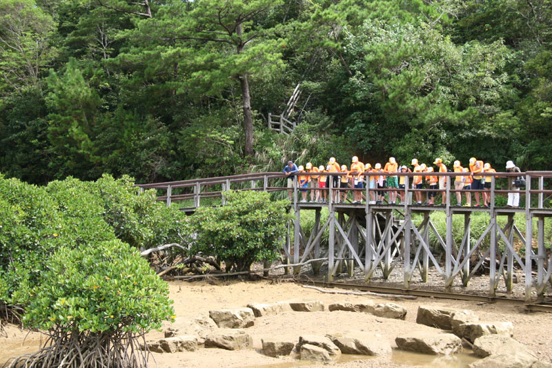 oyako224