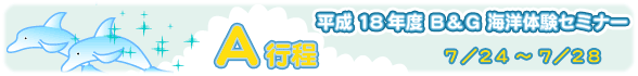Cm̌Z~i[As