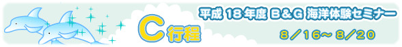 Cm̌Z~i[As