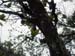 add28_01_501