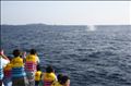thumbnail/070329_144204.jpg