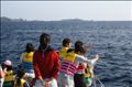 thumbnail/070329_144717.jpg