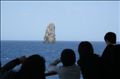 thumbnail/070330_094602.jpg