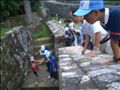 thumbnail/0023.jpg