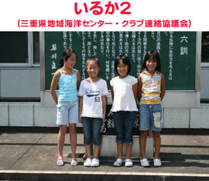 邩Q