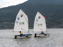 OPヨットレース 小学生の部