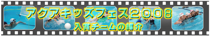 ANALbYtFX2008@܃`[̏Љ