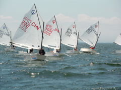 u16񊘎REECWjAePbgv