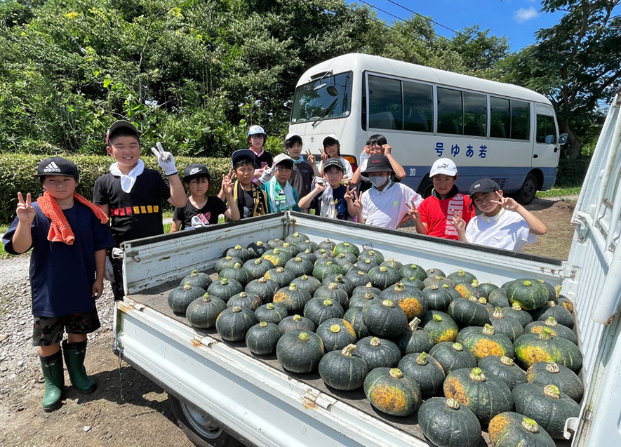 こんなにたくさんの野菜が収穫できました！