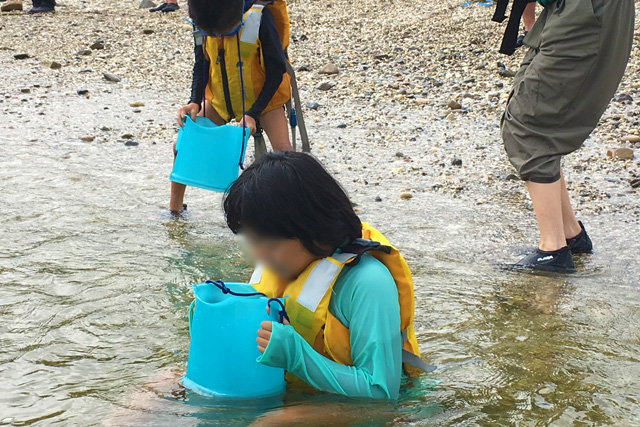 水中を見られる道具で浜辺で観察