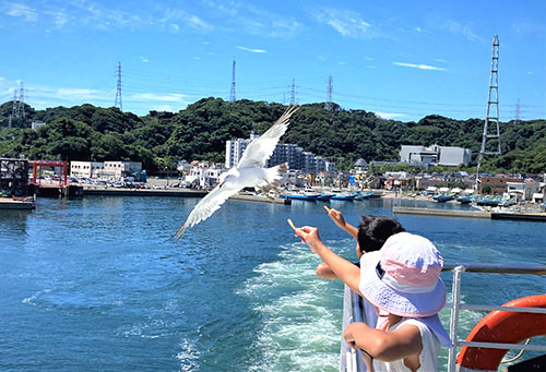 カモメの餌やり