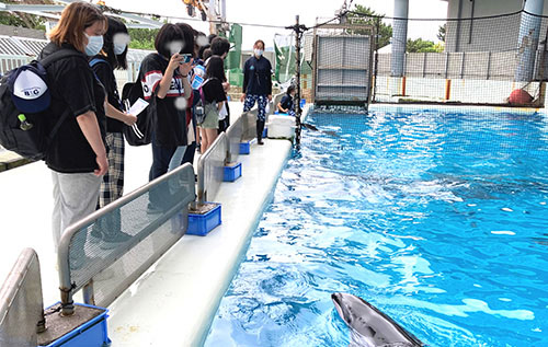 横浜八景島シーパラダイス