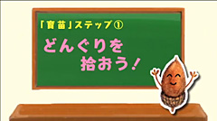 海を守る植樹教育事業