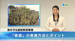 海を守る植樹教育事業