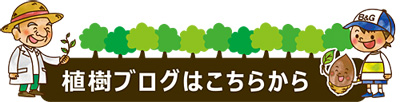 新しいブログはこちら