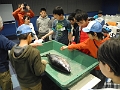 DSCN5153