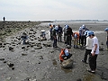 DSCN5175