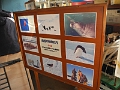 DSCN5245