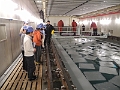 DSCN5250