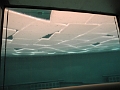 DSCN5257