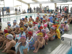 水泳発表会