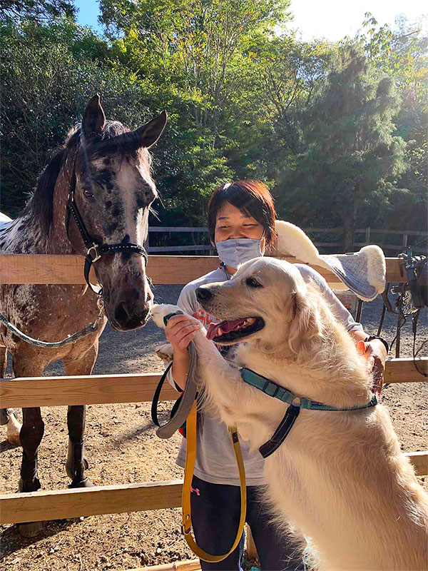 久万高原愛馬会で