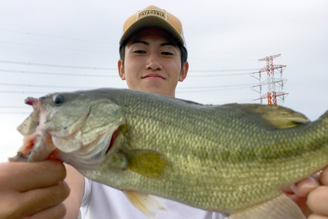 バス釣りの様子