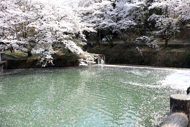 財田町の戸川ダムの画像