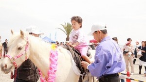 ポニーのレースもあり、子供たちを乗せる乗馬体験会も行います
