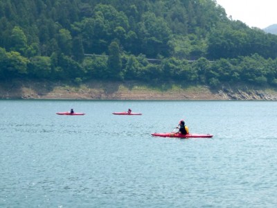  きれいな水面のようでもゴミが結構浮いていました