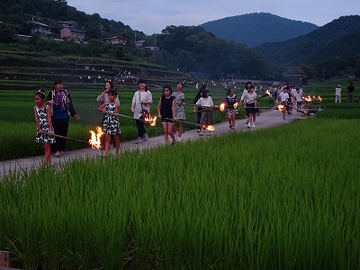 タイマツの火で虫をおびき寄せながら、あぜ道を歩く地域の人たち。遠くを見ると炎が揺らめいてきれいです